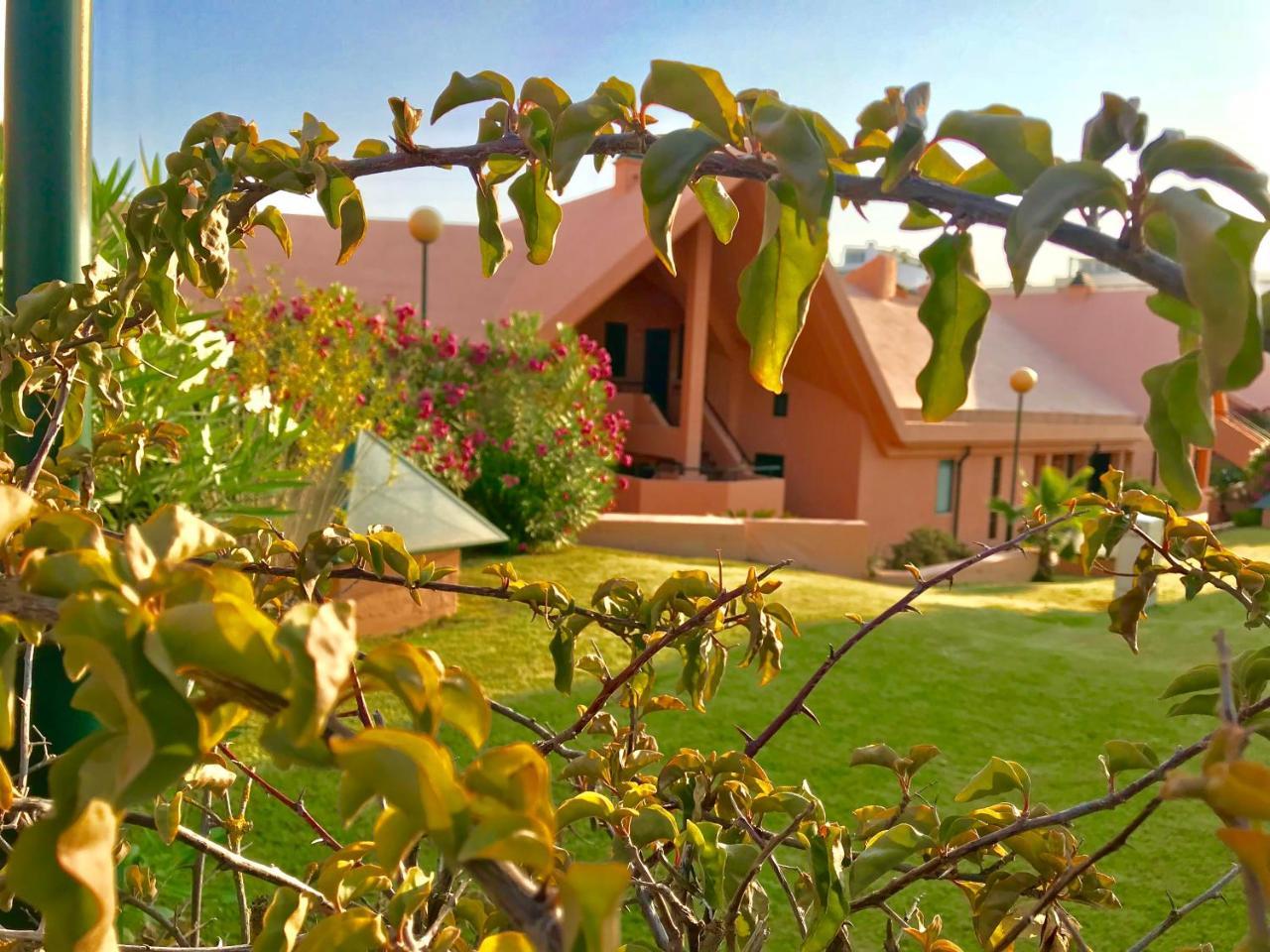 Marina Garden By Ethnic Ocean Apartment Vilamoura Bagian luar foto